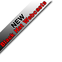 <b><b><b>Black</b></b></b> Hat Webcasts
