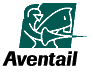 Aventail Corporation