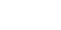 The Software Institute