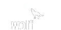 wolfSSL
