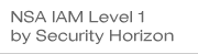 NSA IAM Level 1 by Security Horizon
