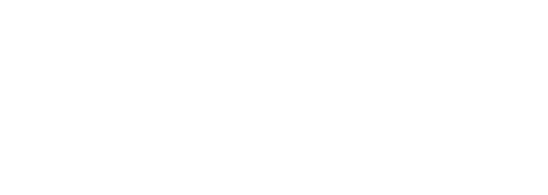 Artic Wolf