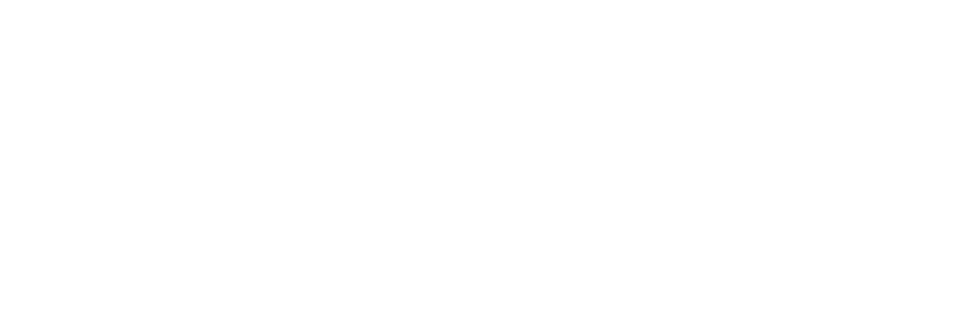 NextDLP