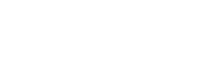 Symantec Cyber Security Services