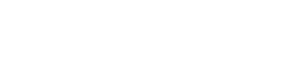WitnessAI