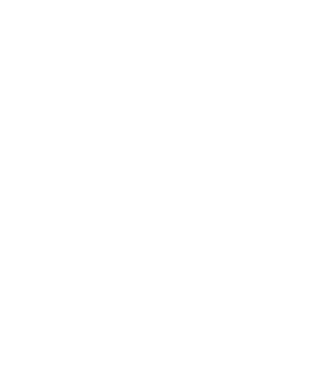 BlueCoat