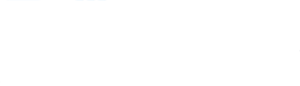 TrapX Security