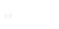 WhiteSource