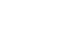 Ridge Security Technology