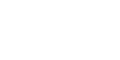 Fiddler AI